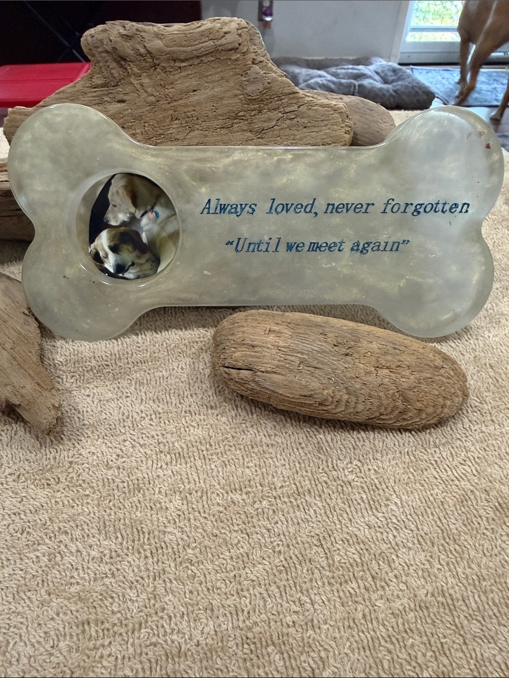 Always Loved Never Forgotten Bone-Shaped Pet (Resin) Memorial Plaque - Cream